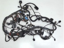 Sistema electrico Triumph Tiger 800 XC 2018 - 2019