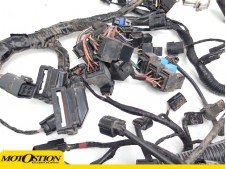 Sistema electrico Triumph Tiger 800 XC 2018 - 2019