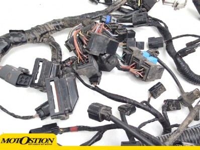 Sistema electrico Triumph Tiger 800 XC 2018 - 2019