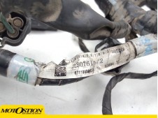 Sistema electrico Triumph Tiger 800 XC 2018 - 2019