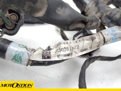 Sistema electrico Triumph Tiger 800 XC 2018 - 2019