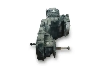 Motor Daelim S2 125 compatible carburación e inyección (2004-2009) con garantía
