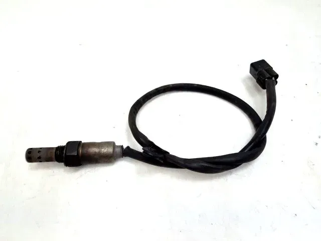 imagekit-01KNVKYWNZ8TKVQVM6B0NWC7KW.jpg