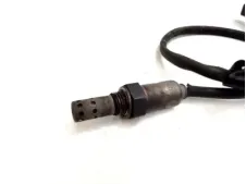 imagekit-01KNVKYH8YA86XTP5WYH86Q74Q.jpg