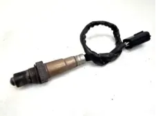 imagekit-01KPZ4NXHJ90NAKWHEDNSP2CV1.jpg