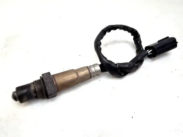 imagekit-01KPZ4NXHJ90NAKWHEDNSP2CV1.jpg