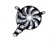 imagekit-01KQFG3TQ3GYES0E0NGDN13HPG.jpg