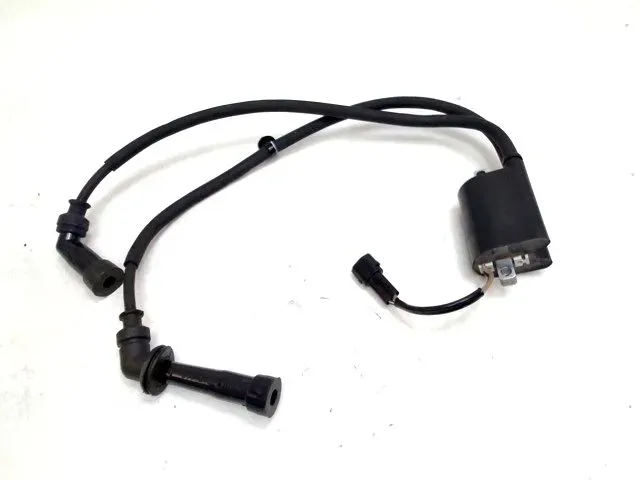 imagekit-01KQFHP5TAAZWCVDAZQ0H0CRW9.jpg