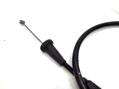 imagekit-01KQRYF0C3XZ0M4HCVZCFG2TNS.jpg