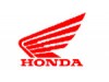 Aleta delantera morada HONDA HORNET 900 2002-2006  moto