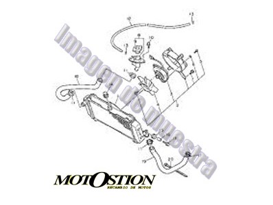 Rueda delantera 13 QINGQI XF T10D 125 2005-2012  motodesguace