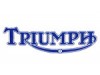 Cacha izquierda TRIUMPH TRIDENT 900 2000-2000  recambio moto