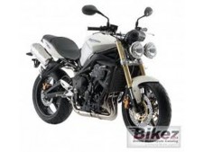 Piloto matricula TRIUMPH STREET 675 2007-2008  segunda mano