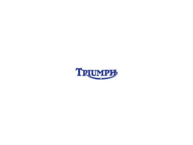 Tapa maleta derecha gris TRIUMPH TROPHY 900 1998-2002  repuestos de motos
