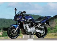 Aleta delantera gris YAMAHA FAZER 1000 2004-2006  recambios para moto