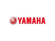 Cardam YAMAHA BT BULLDOG 1100 2001-2007  motodesguace