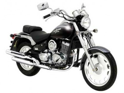 Embellecedor horquilla izquierda cromo DAELIM DAYSTAR 125 2006-2009  repuestos de motos