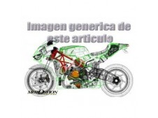 Escape completo doble salida carbono ENDY RS 50 1998-2000