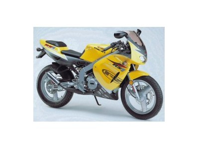 Escape completo doble salida carbono ENDY RS 50 1998-2000