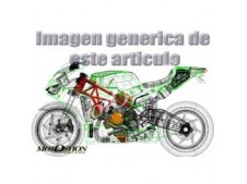 Aleta pase rueda inferior carbono laco LACOMOTO ZX 6 600 2009-2012