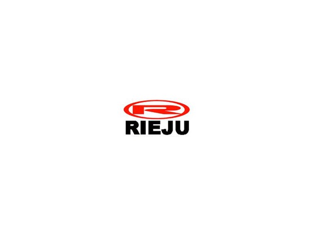 Bateria carburadores RIEJU NKD 125 2005-2011  segunda mano