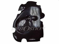 Protector tapa pick up carbono lacomoto LACOMOTO R6 600 2001-2002  recambio moto