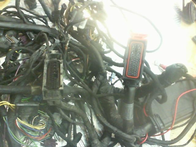 Sistema electrico completo BMW C1 200 2000-2004  desguace motos