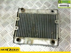 Radiador agua DORTON MASTER 250 2007-2012  motodesguace