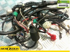 Sistema electrico completo PGO T-REX 50 1999-2010  repuestos de motos