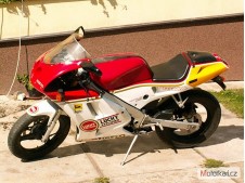 Aleta porta matricula CAGIVA PRIMA 80 1989-1995  moto