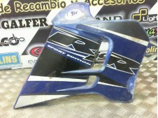 Faldon izquierdo RIEJU RR 50 1999-2007 Recambio Ocasion