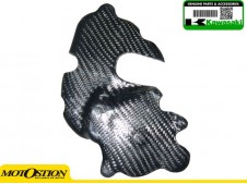 Protector tapa pick-up carbono laco