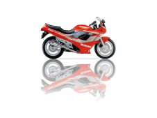 Silenciosos sito homologados pareja SUZUKI GSX 600 F 600 1991-1994  desguace motos