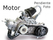 Motor completo del despiece o desguace de una moto Piaggio liberty 125 1998-2004