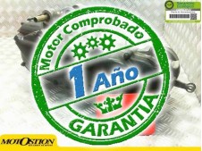 Motor completo del despiece o desguace de una moto Pgo t-rex 50 1999-2010