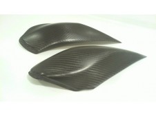 Pareja Protectores Deposito en Carbono