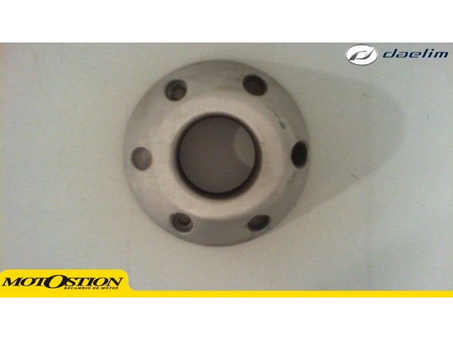 Embellecedor salida silencioso