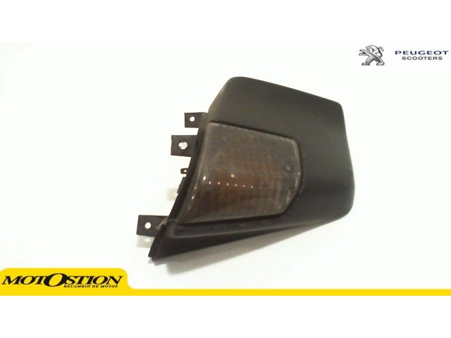 Intermitente delantero izquierdo