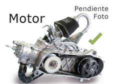 Motor perfecto leonardo 250 1999-2009