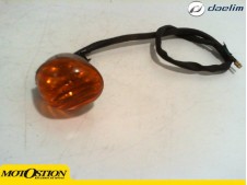 Intermitente delantero izquierdo