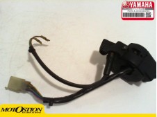 Piña luces izquierda