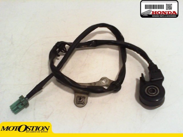 Interruptor pata de cabra