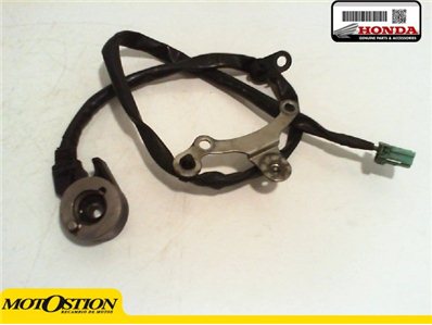 Interruptor pata de cabra