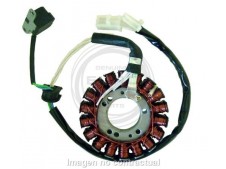 Bobina de encendido para motos y scooter, SGR