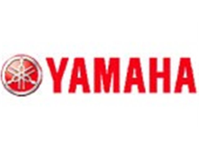 bomba de agua de motor YAMAHA FJR 1300 2001-2003  segunda mano