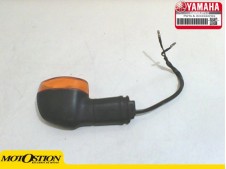 Intermitente delantero izquierdo