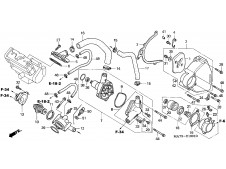 Bomba agua Honda Cbr 1100 xx 1997 - 1998