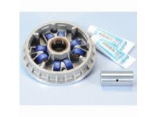 Variador completo Nuevo Polini 