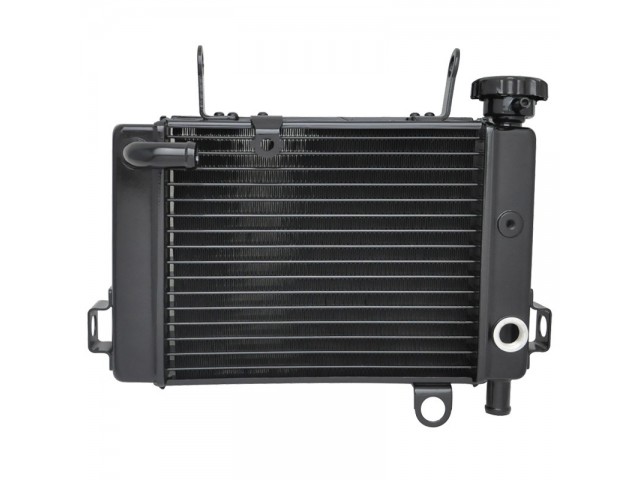 Radiadores Nuevos Catálogo Paaschburg & Wunderlich