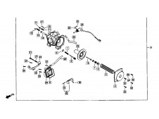 Estarter automatico, Daelim Ns 125 1999-2002